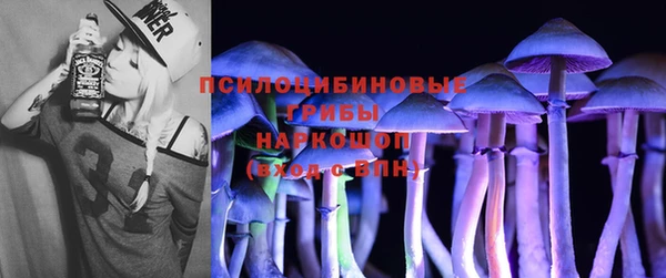 spice Верхний Тагил